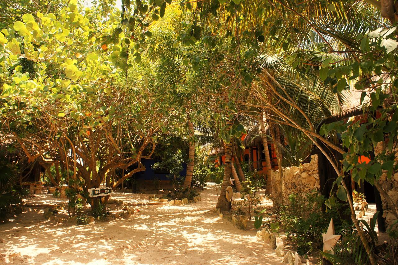 Cabanas La Luna Ξενοδοχείο Τουλούμ Εξωτερικό φωτογραφία