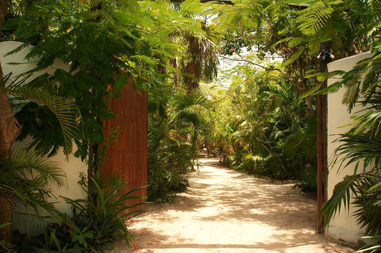 Cabanas La Luna Ξενοδοχείο Τουλούμ Εξωτερικό φωτογραφία
