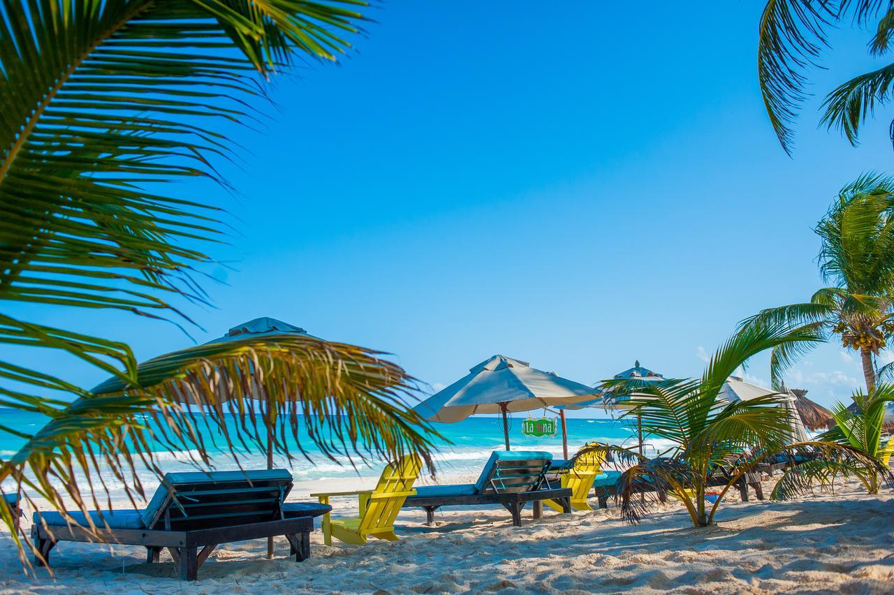 Cabanas La Luna Ξενοδοχείο Τουλούμ Εξωτερικό φωτογραφία